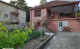 Apartman Pavle Virpazar